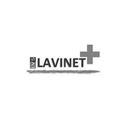 Lavinet logo